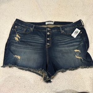 NWT torrid bayou with button fly high waisted jean shorts size 26